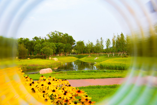 公园小景