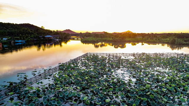 夕阳美景