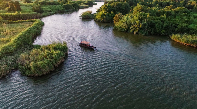 湿地划船
