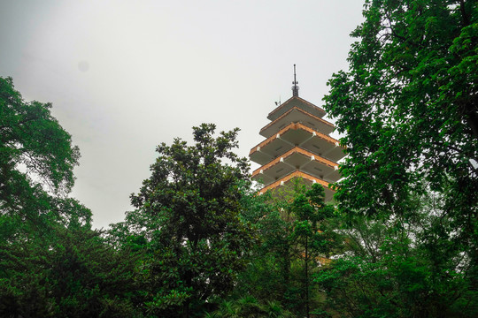 渝中半岛