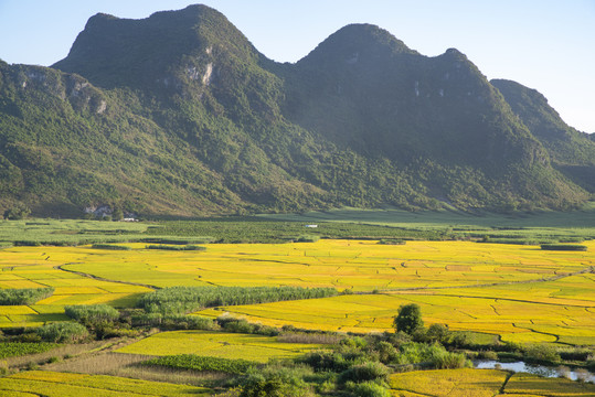 风景