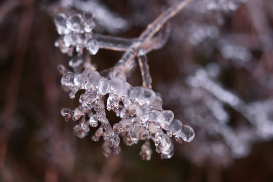 冰雪