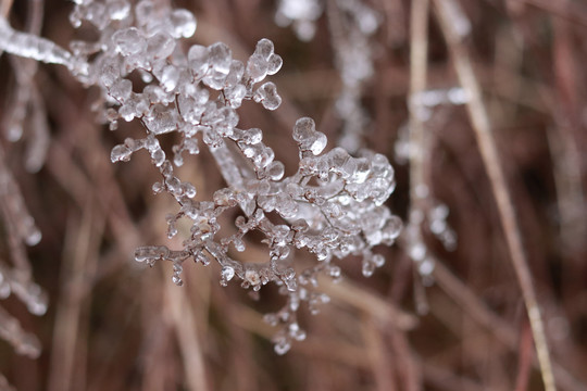 冰雪