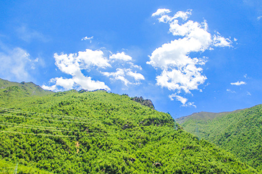 蓝天白云绿植山坡