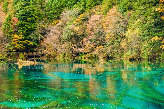 四川九寨沟风光