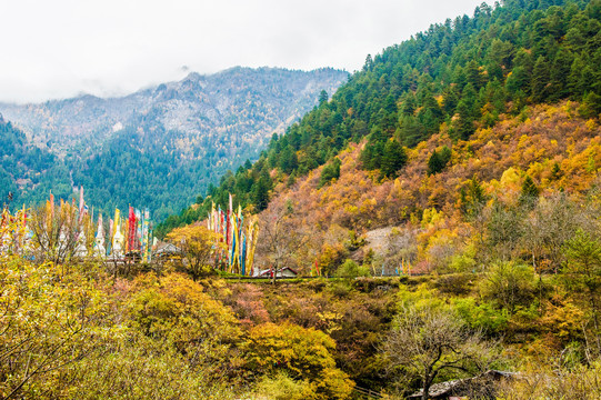 四川九寨沟风光