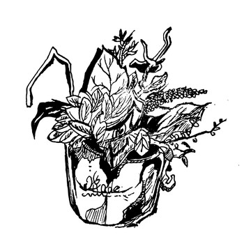 一盆花