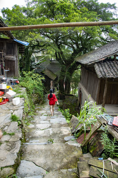 乡村石板路