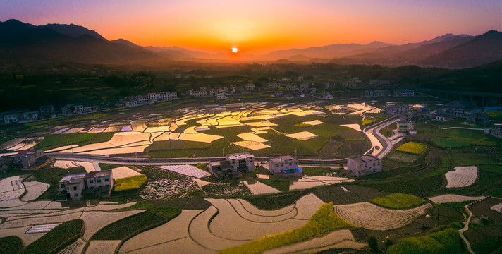 中峰稻田