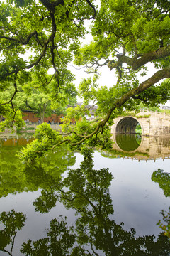 舟山普济寺海印池