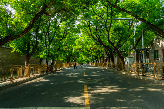 北京林荫街道