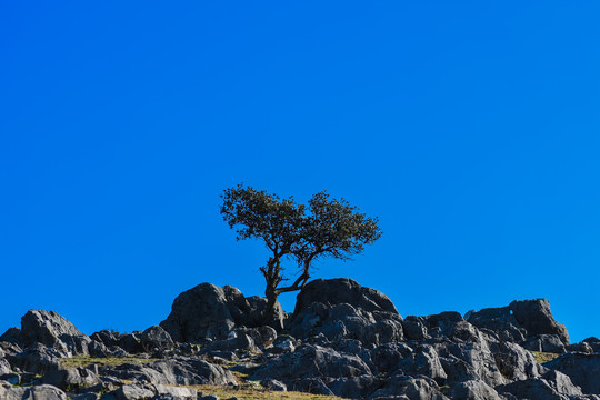 云南高山风光