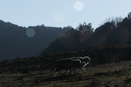 云南高山风光