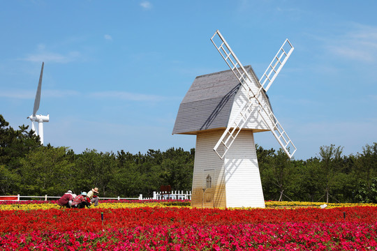 花海木屋