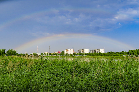 湿地彩虹
