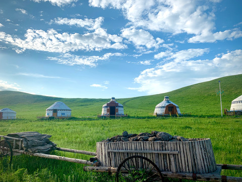 草原上的蒙古包和勒勒车