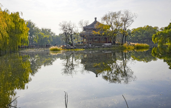 北京圆明园秋景