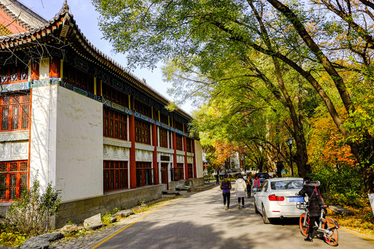 北京大学校园秋景