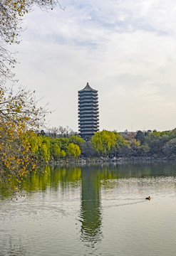 北京大学未名湖搏雅塔