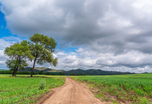 内蒙古乌兰察布草原自然风景