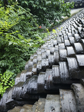 烟雨江南绿映红