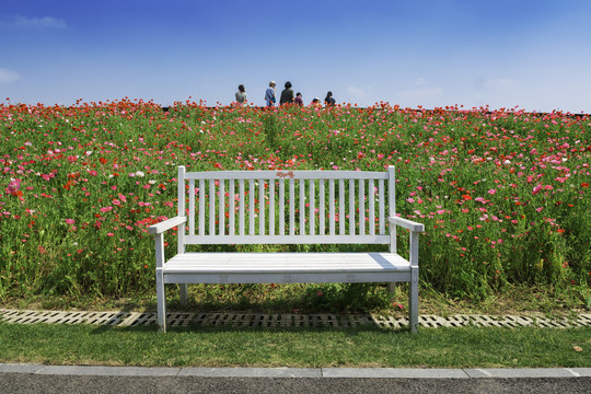 花海中长椅