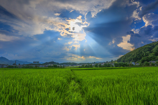 中峰风光BH