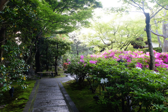 日式园林