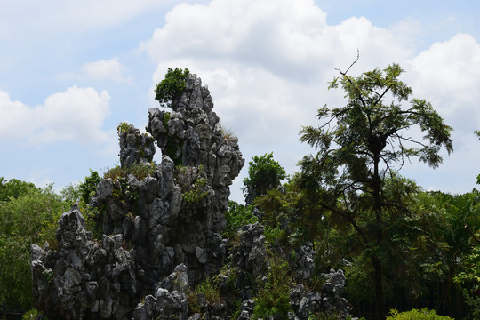 园林风景