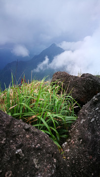 山顶云海