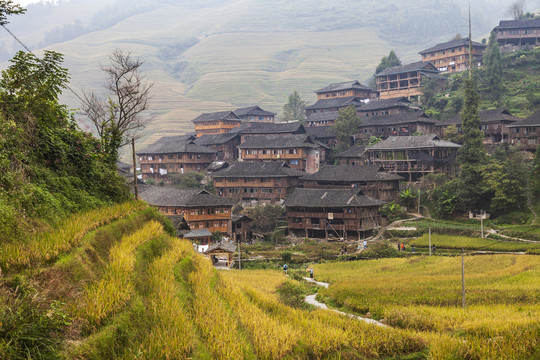 广西龙胜梯田风景