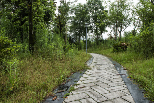 公园道路地板砖