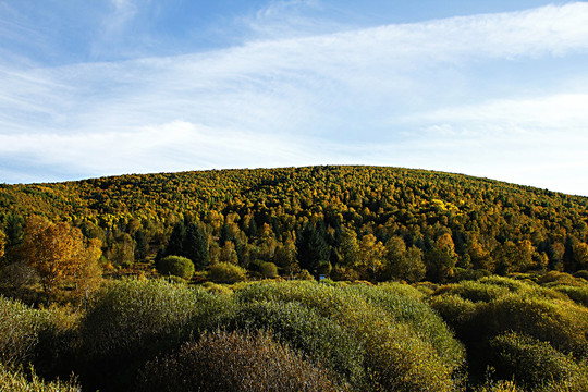 红山军马场