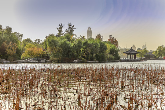 济南大明湖风景