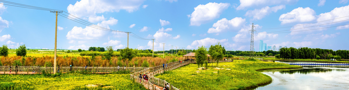 田园风景