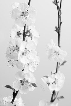 花014