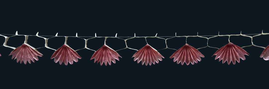 拉花