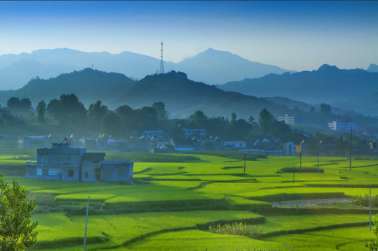 贡米之村