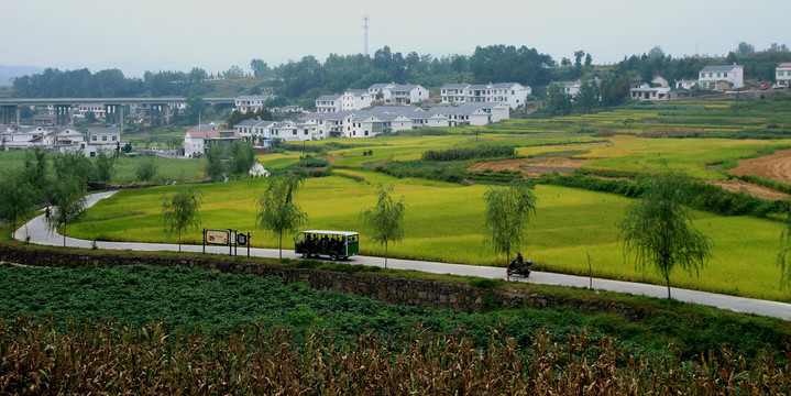 贡米基地E