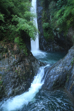 中峰贡米T