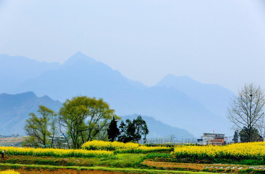 秀灵仙山