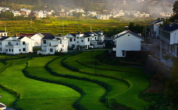 新村春光宜人