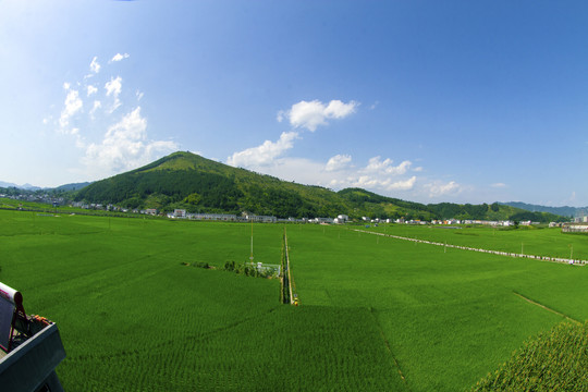 洞沟河Z