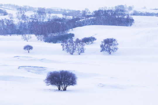 雪景