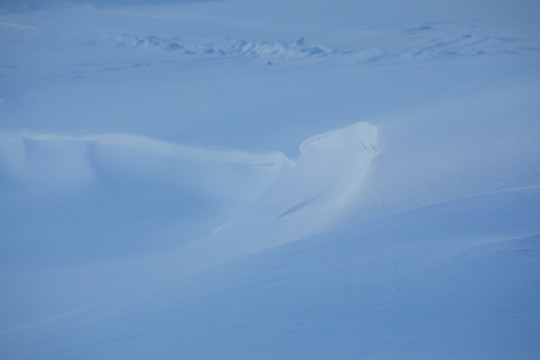 雪景