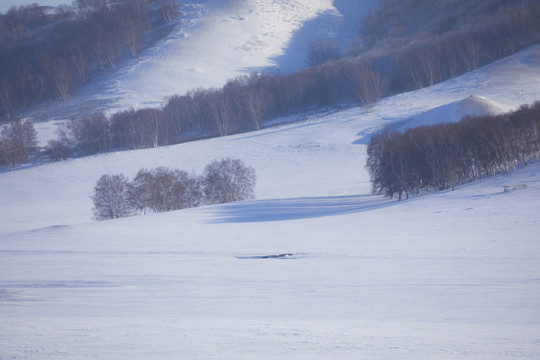 雪景