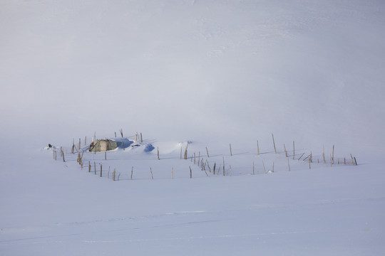 雪景