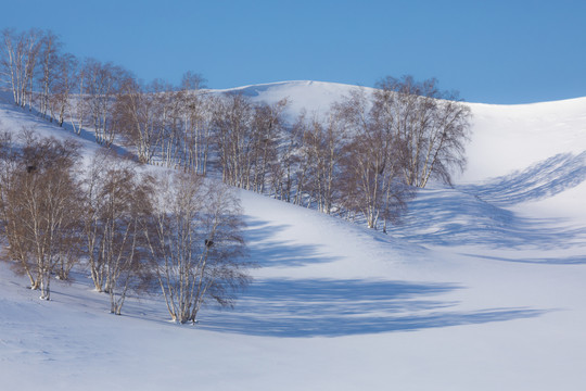 雪景