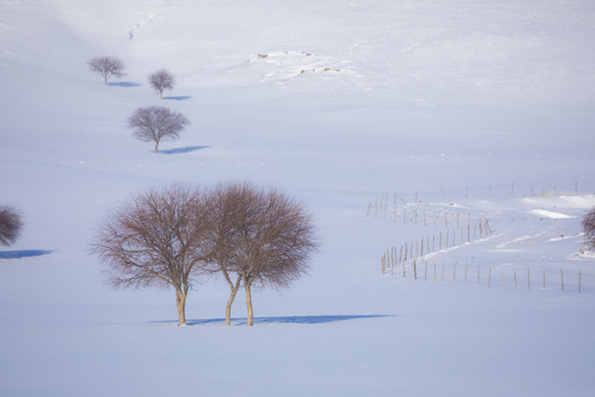 雪景