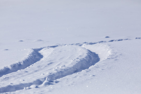 雪景